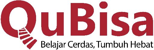 qubisa logo