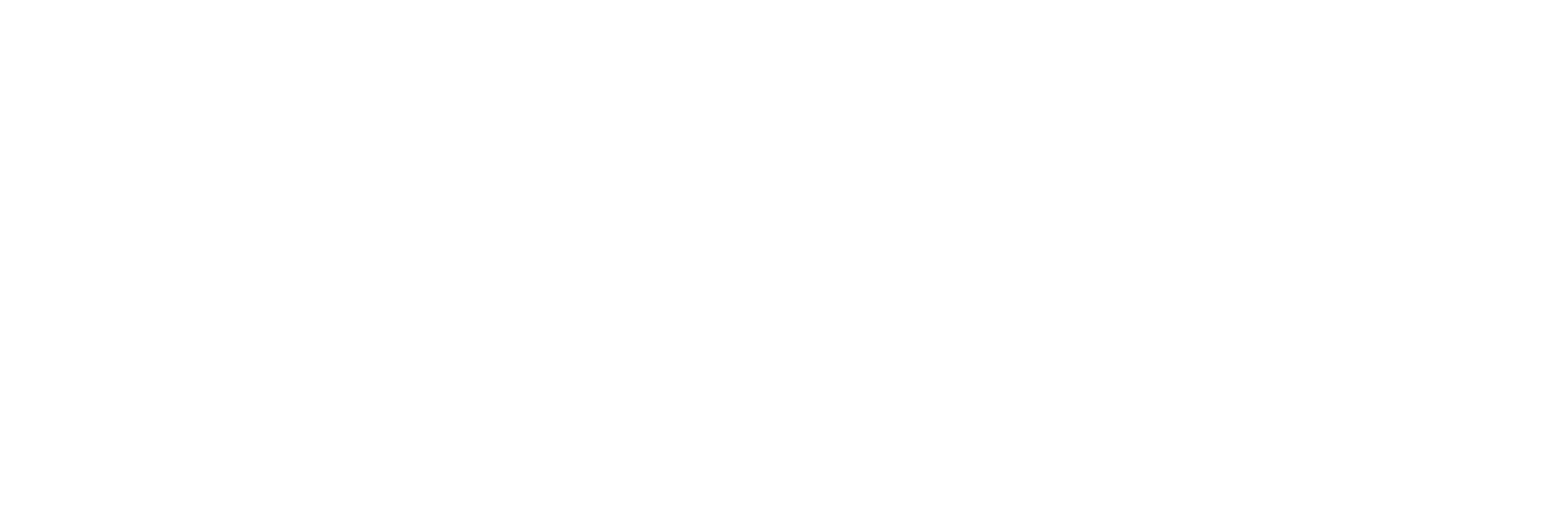 Qubisa Logo